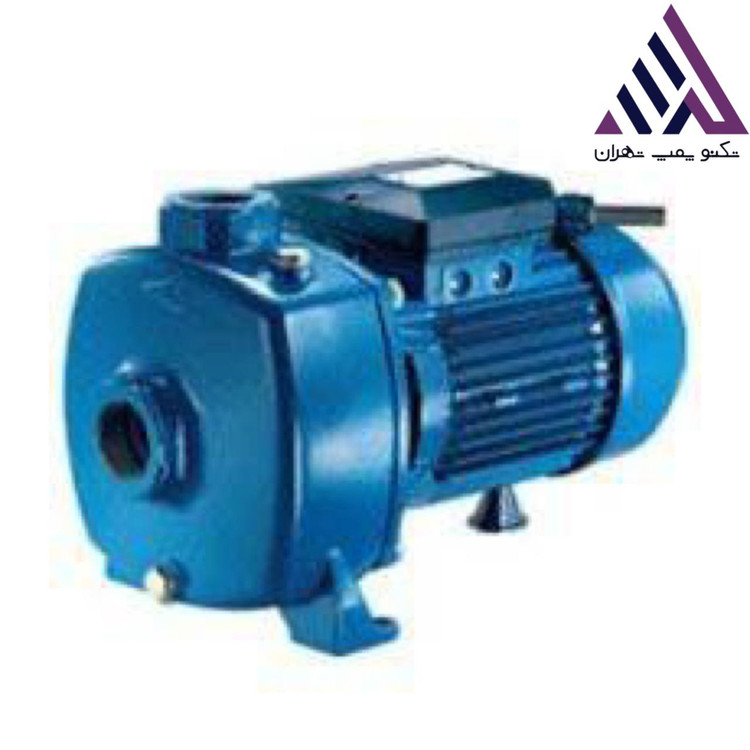 پنتاکس | پمپ بشقابی دو پروانه | اصلی مدل MB150 | پروانه نوریل مهندسی | 1/5 اسب | خروجی 1/1/4 | هد 40متر