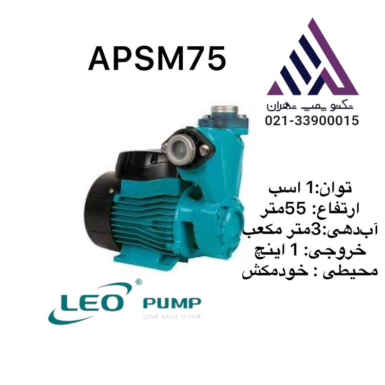 پمپ خود مکش محیطی لئو | مدل APSM75 | تکفاز | 1 اسب | خروجی 1اینچ | هد 55 متر