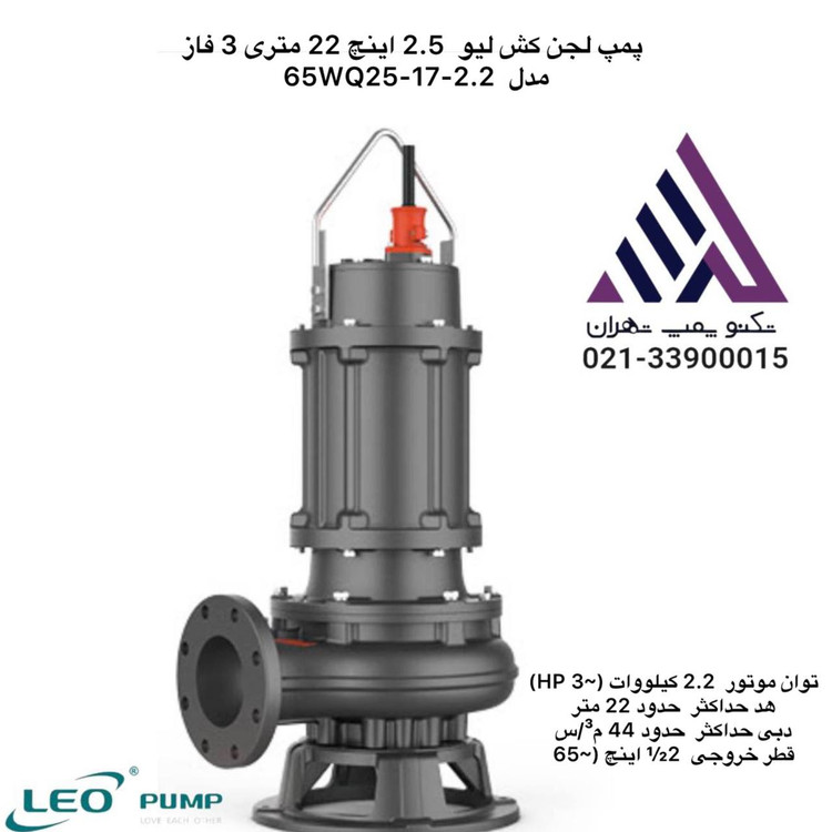 پمپ لجن کش لئو سه فاز مدل 65WQ25-17-2.2 با خروجی 2.5 اینچ و توان 3 اسب بخار