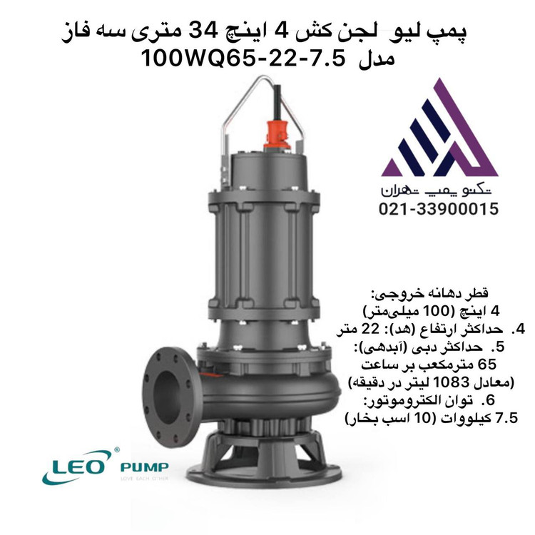 تصویر پمپ لجن کش لئو مدل 100WQ65-22-7.5 با بدنه چدنی و خروجی 4 اینچ