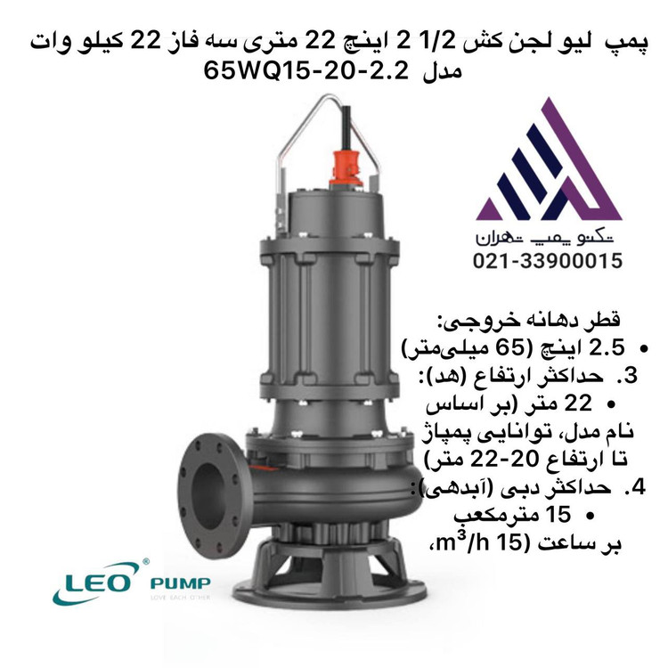 مپ لجن کش لئو مدل 65WQ15-20-2.2 سه فاز چدنی با خروجی 2.5 اینچ و هد 22 متر، مناسب پروژههای صنعتی و تصفیهخانههای کوچک و متوسط