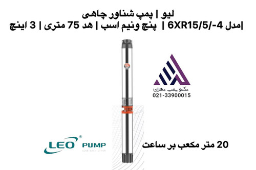 پمپ شناور چاهی لیو مدل 6XR15/5/-4 پنجونیم اسب سهفاز خروجی سه اینچ هد ۷۵ متر -| technopomptehran.ir