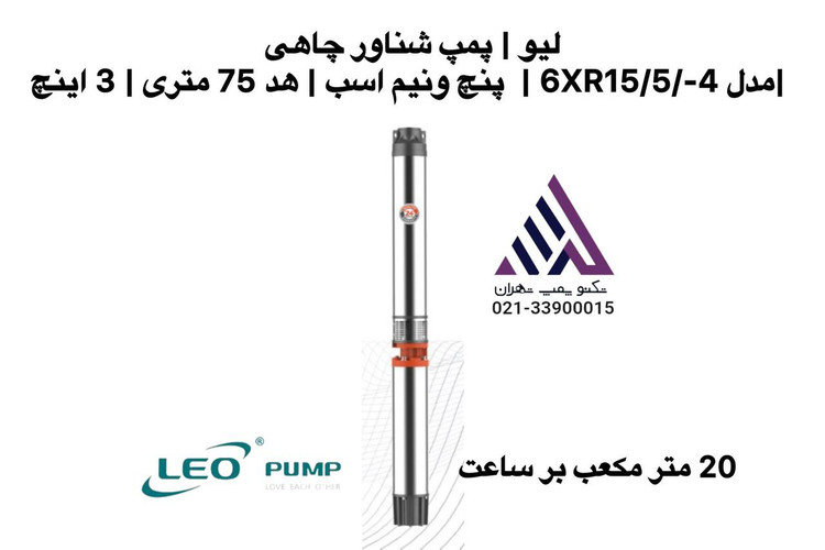 پمپ شناور چاهی لیو مدل 6XR15/5/-4 پنجونیم اسب سهفاز خروجی سه اینچ هد ۷۵ متر -| technopomptehran.ir
