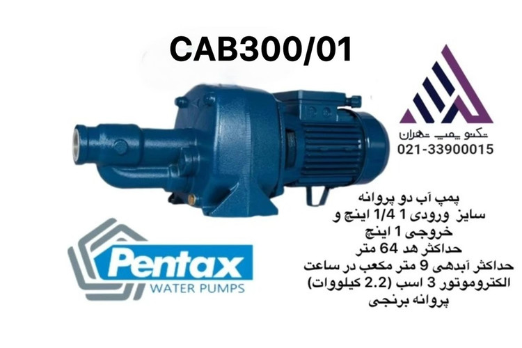 پمپ آب پنتاکس مدل CAB300/01 | خودمکش دو پروانه برنجی | سه اسب | تکفاز | هد 64 متر | فشار قوی | مناسب  ساختمان و آبیاری