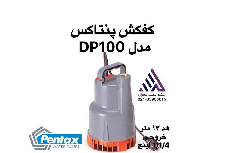 پمپ کفکش پنتاکس اصلی مدل DP100 تکفاز 1 اسب با خروجی 1/4 1 اینچ و هد 13 متر