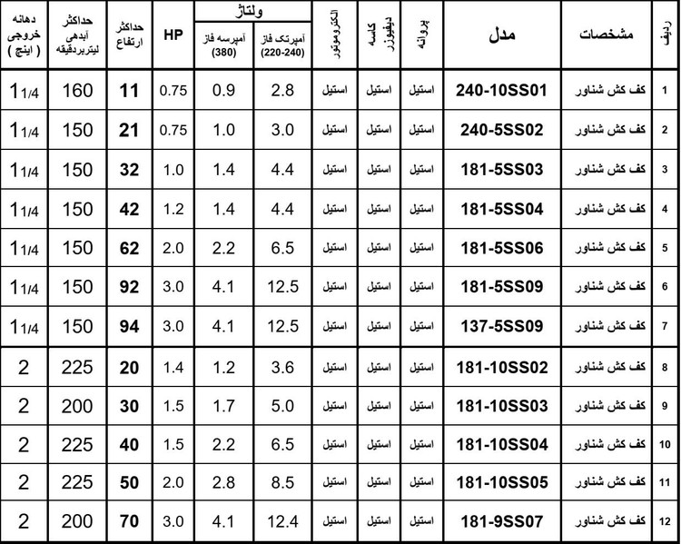 # پمپ کفکش ۲۲ متری ۳ اینچ رادپمپ مدل 2VS189/2 | تکفاز | تکنو پمپ تهران